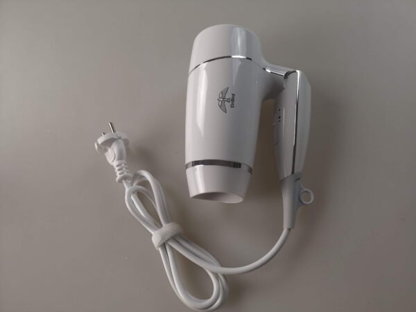 Professional Hair Dryer - 1875W